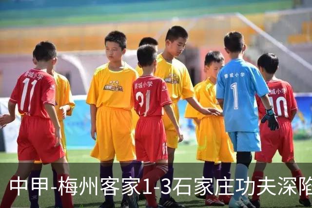 中甲-梅州客家1-3石家庄功夫深陷降级区 石家庄近7轮6胜1平